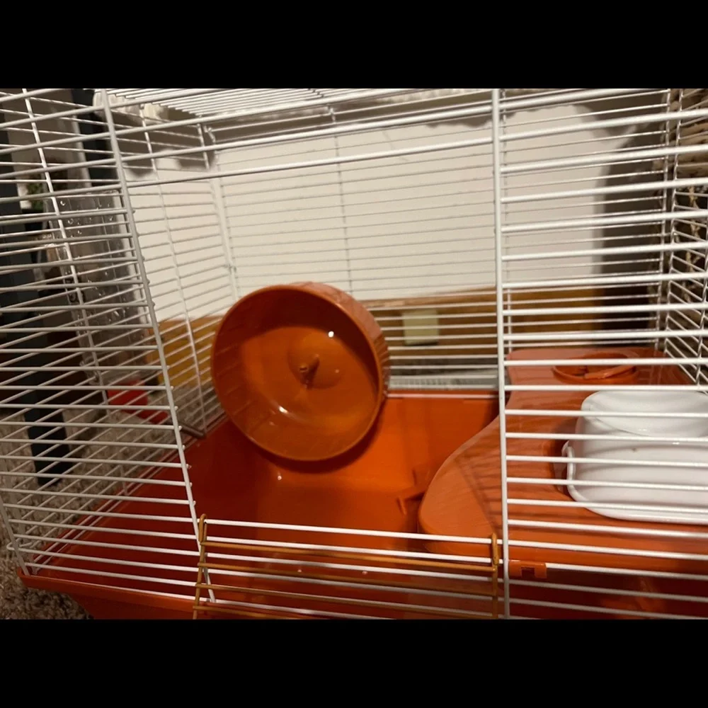 Miss Hollow Hamster Cage